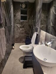 The Glacier (D15), Apartment #501686051